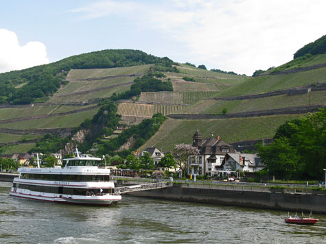 Rhine River Cruises