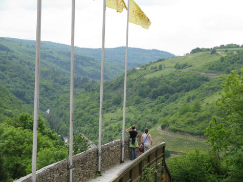 View from Rheinfels Castle