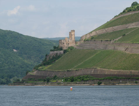 Rhine River Valley at Bingen Germany
